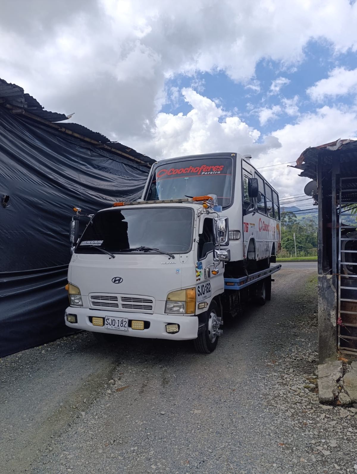 Buseta de Coochoferes Pereira transportada por Servigrúas Armenia